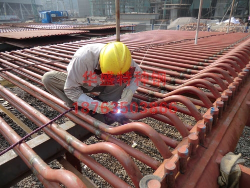 ��������ʡú��